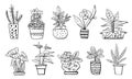 Houseplants in flowerpots. Vector hand drawn outline black and white sketch illustration